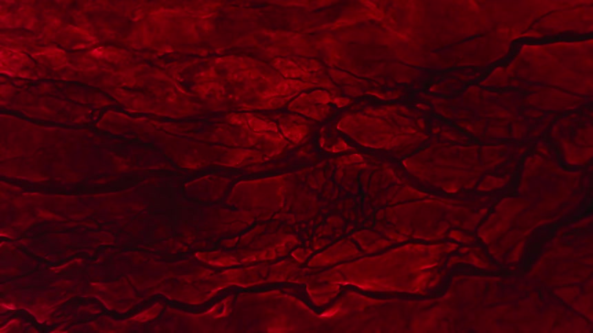 Sections of a red substance on the surface are cracking and separating over the darkness as a liquid moves through the cracks