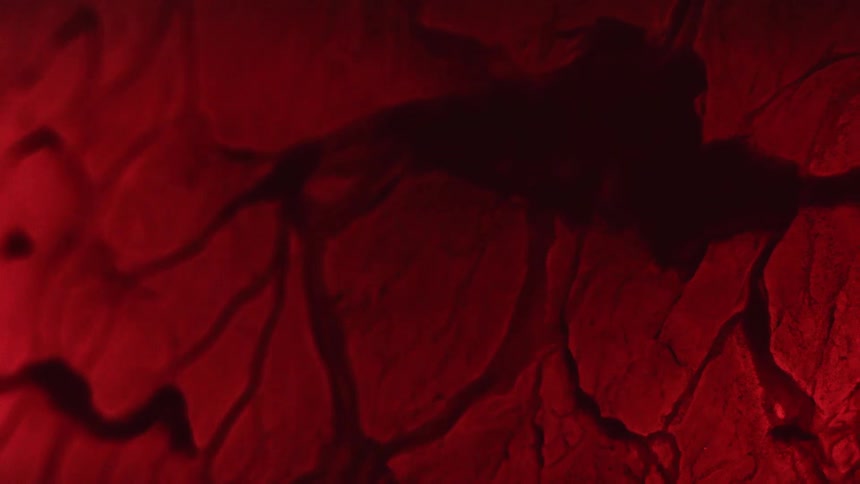Liquid moves through the dark cracks of a red broken surface