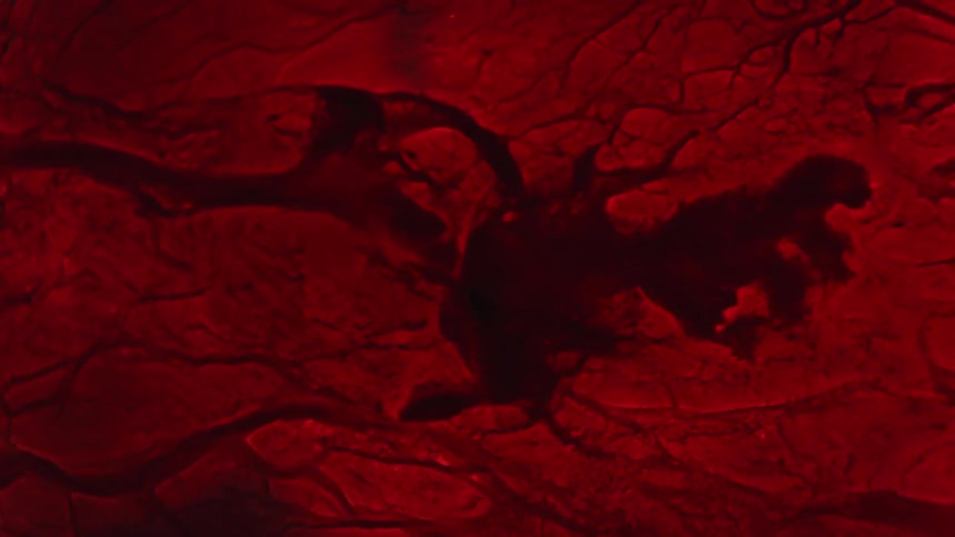 Red cracked objects on the surface break and separate as the liquid ripples and moves