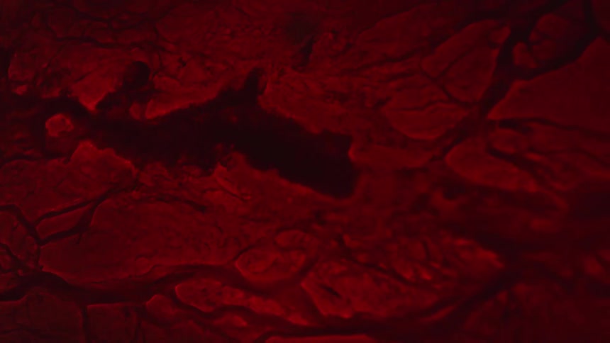 Flow moves along crevices in crimson mass reshaping it