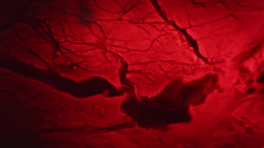 Close up of pulsing liquid creating veins on a dark red tissue