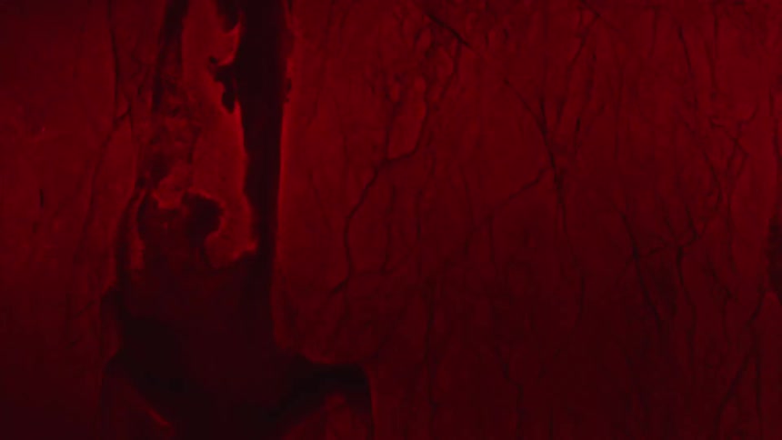 Fluid flows along veins in crimson mass reshaping the tissue