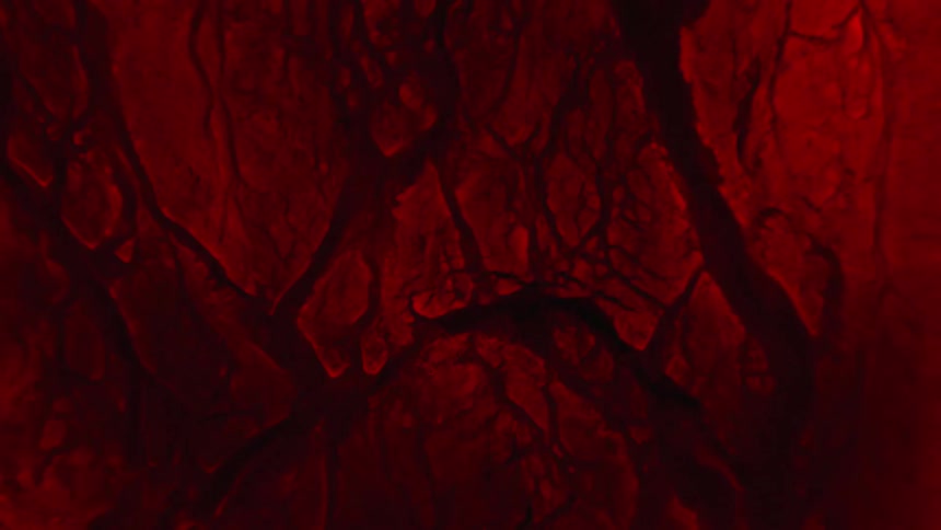 Close up of pulsing liquid creating veins on a dark red tissue