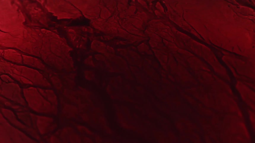 Fluid flowing through crevices reshapes surrounding crimson tissue