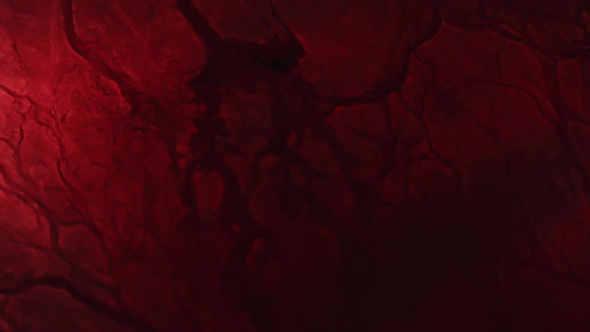 The veins move and fill with liquid