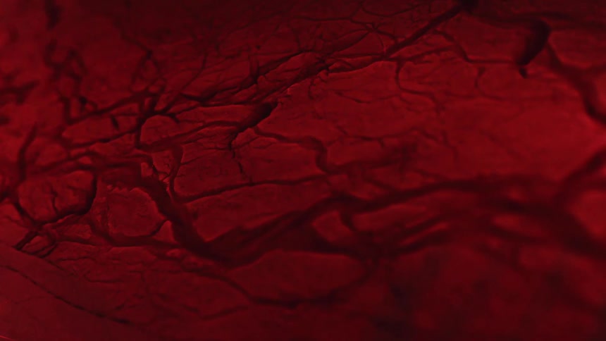 Flow along veins and crevices in crimson mass reshape tissue