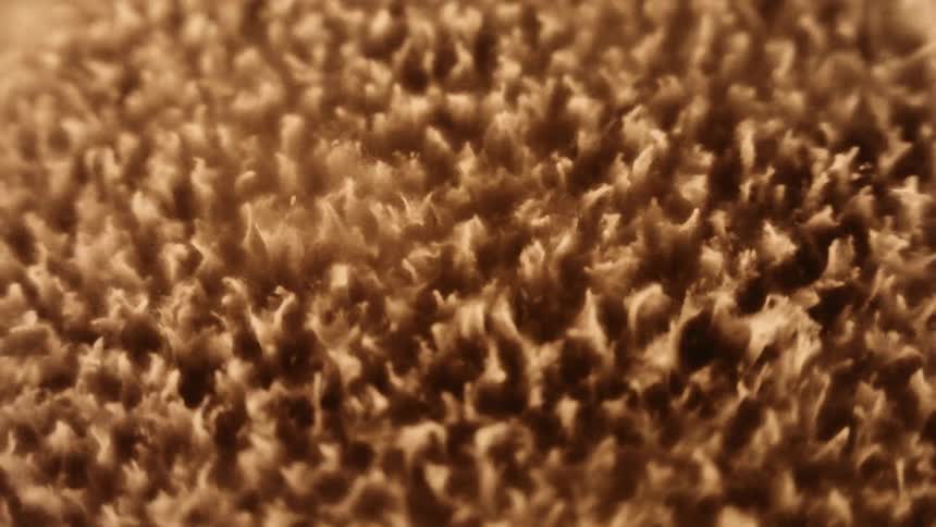 A layer of fine particles are vibrated rapidly from beneath and appear like rippling liquid