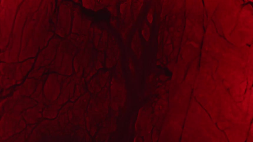 Liquid moves through cracks in a red substance on the surface of a dark area