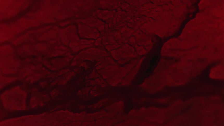 Red cracked objects on the surface break and separate as the liquid ripples and moves