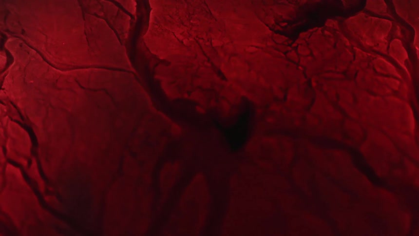 Liquid moves through a cracked red surface as pieces move and separate as they break apart