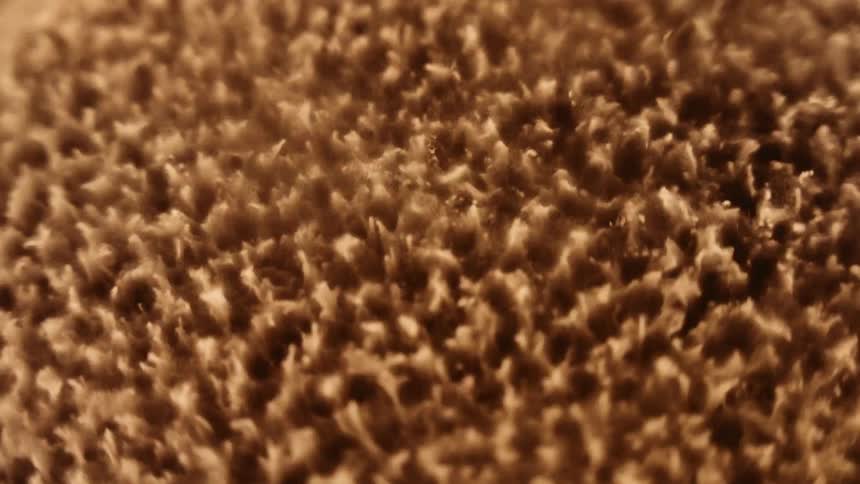 As mixture in container is shaken it forms small peaks and valleys