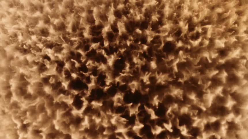 A view of sand shaking