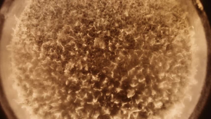A golden powder shakes and vibrates forming peaks