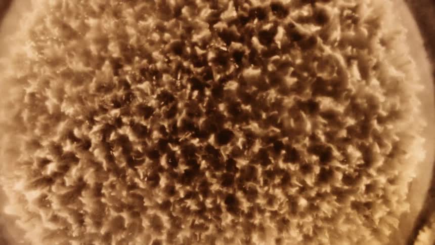 Close up top down view of the vibration patterns on a surface covered with sand