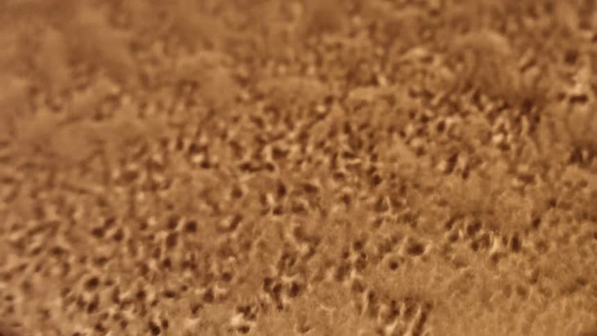 Mixture forms small peaks and valleys as it is agitated