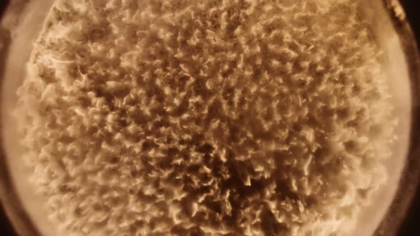 A disc of gold dust strobes flickers and dissipates