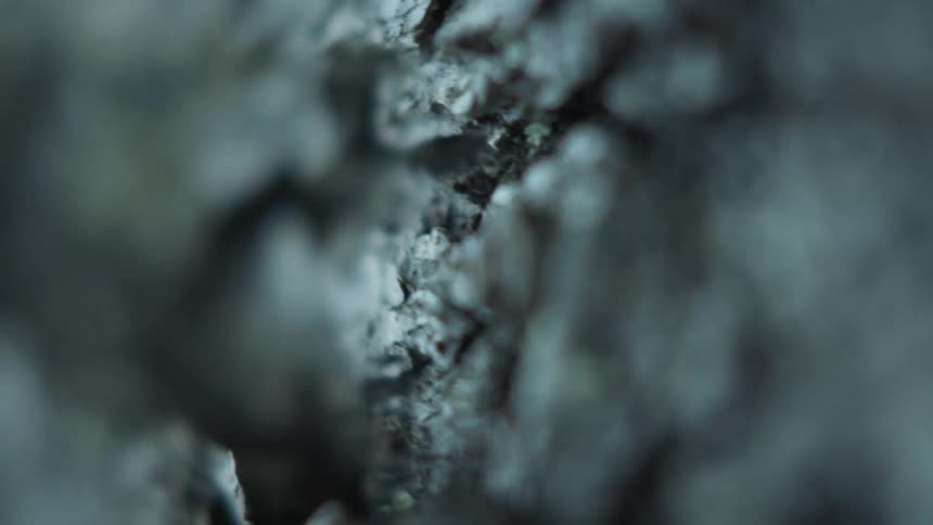 Extreme close up of the rugged surface of dark tree bark