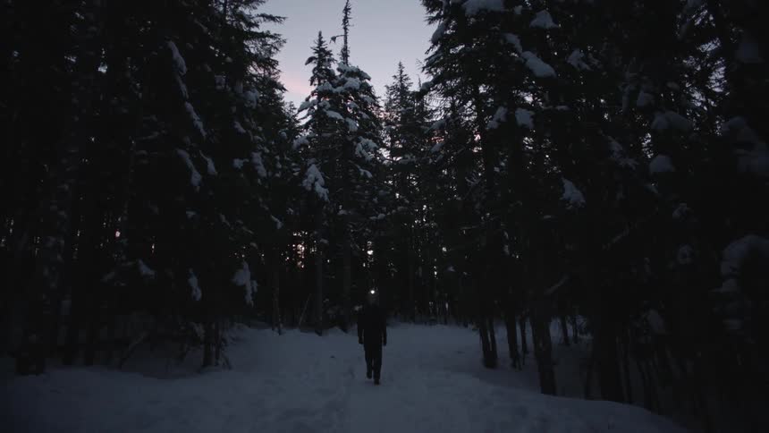 Woman with headlamp walking in the forest in winter