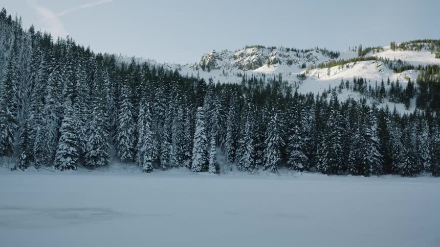 View of a snow covered forest in the mountains