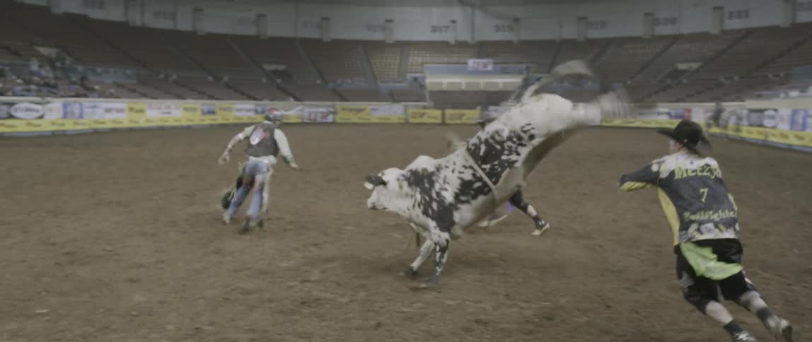A man riding a bull gets thrown off