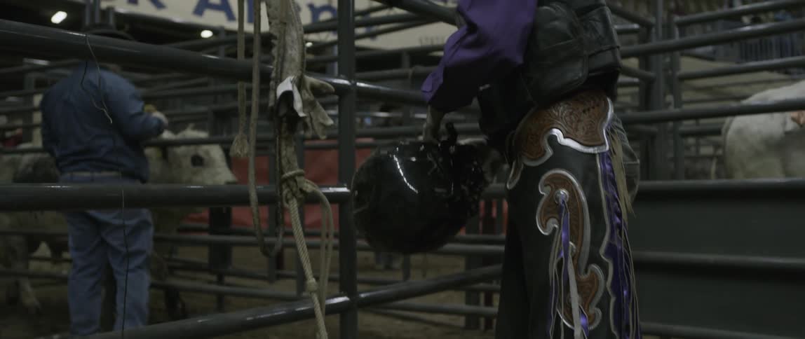 A bull rider adjusts his helmet as a bull walks near