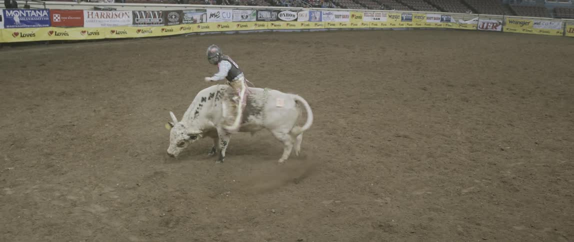 A bull rider is riding a bull that turns in a circle and bucks