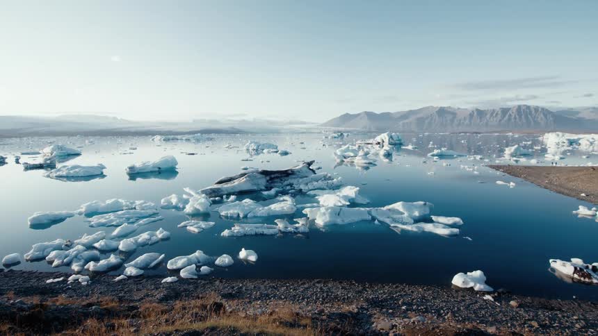 Seals lie on ice in water strewn with sea ice and icebergs with mountains in background
