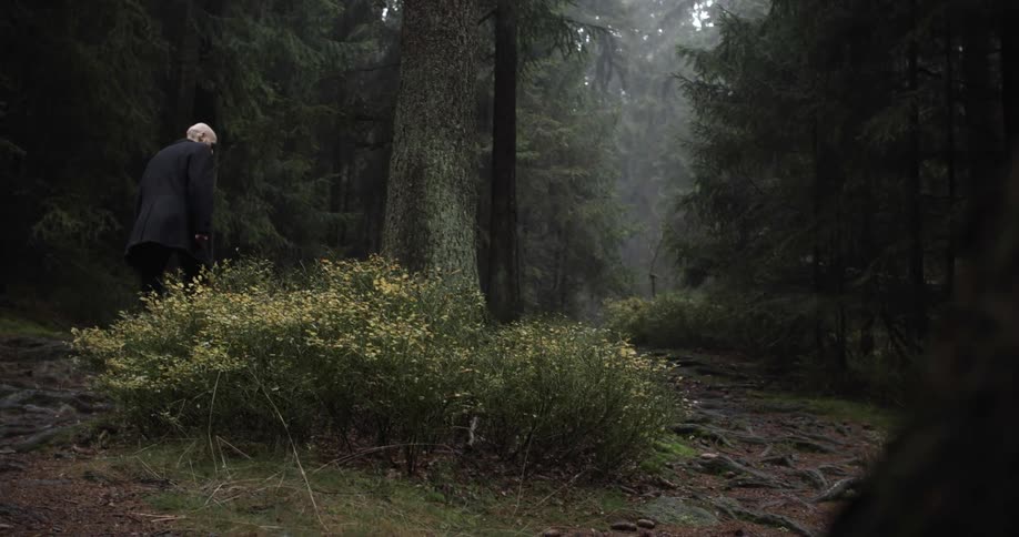A man hikes through a foggy forest