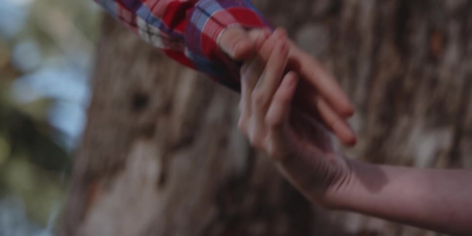 A boy walks near a tree and reaches his hand out and holds a girl's hand