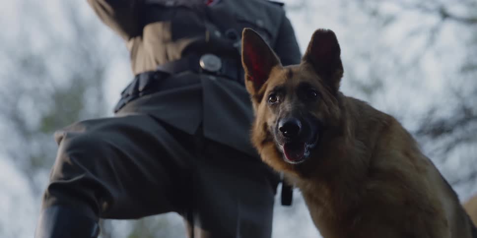 A soldier stands in a forest with his dog and smokes