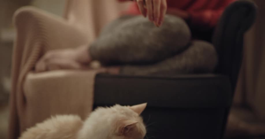 A young woman is playing with her cat at her home