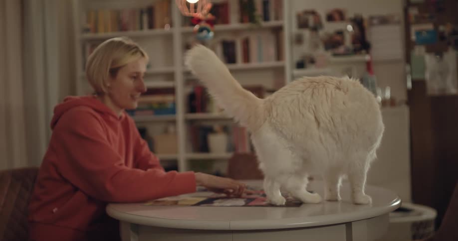 A woman is petting her cat and sitting at a table