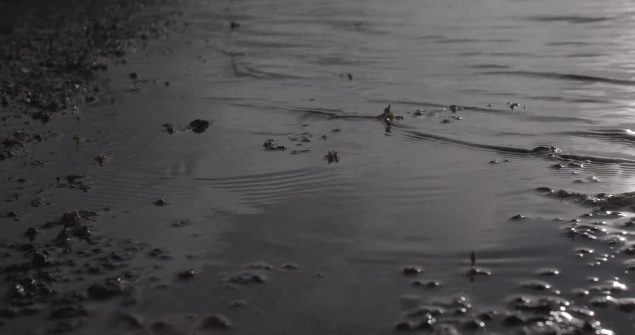 Man Walks In Nature