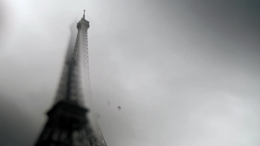 A bird flying past the eiffel tower on a cloudy day