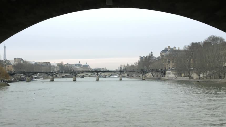 Birds fly by a bridge near a city