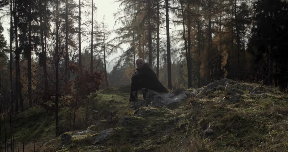 A man sits on a rock in the forest