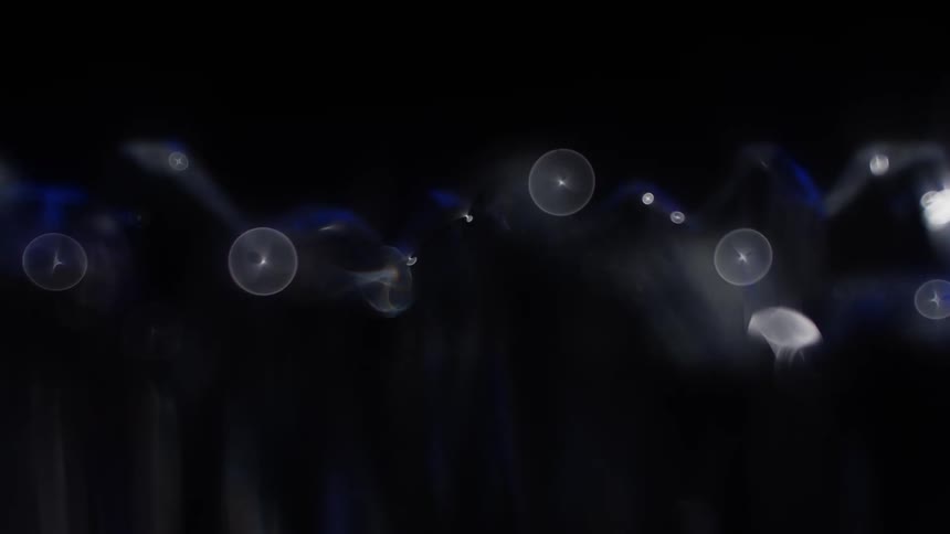 The light spheres flow in the graphic