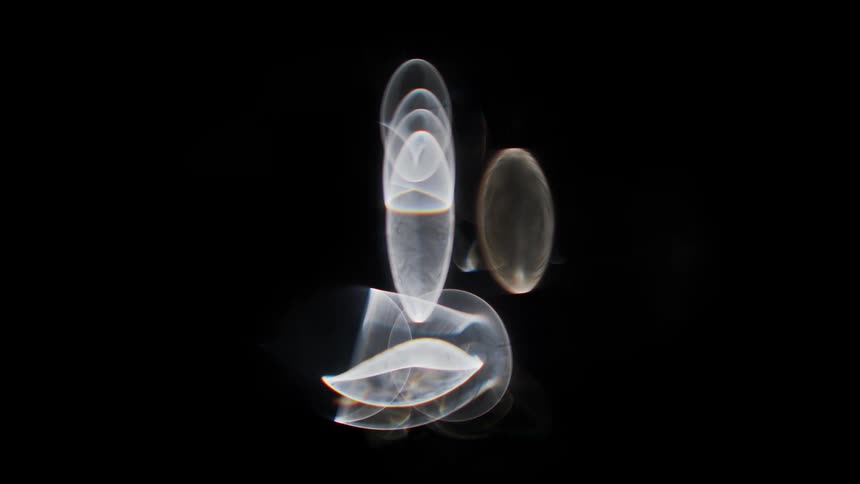 Abstract footage of lights moving