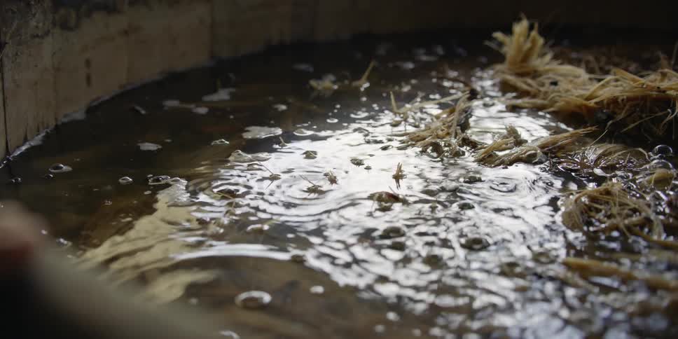 The liquid is brewing in the barrel