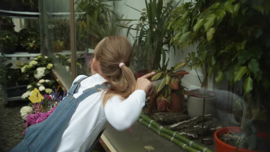 A child and woman look at plants in the greenhouse