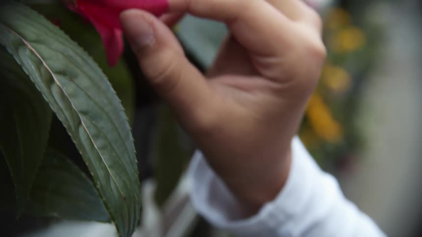 A girl touching and smelling a pink flower