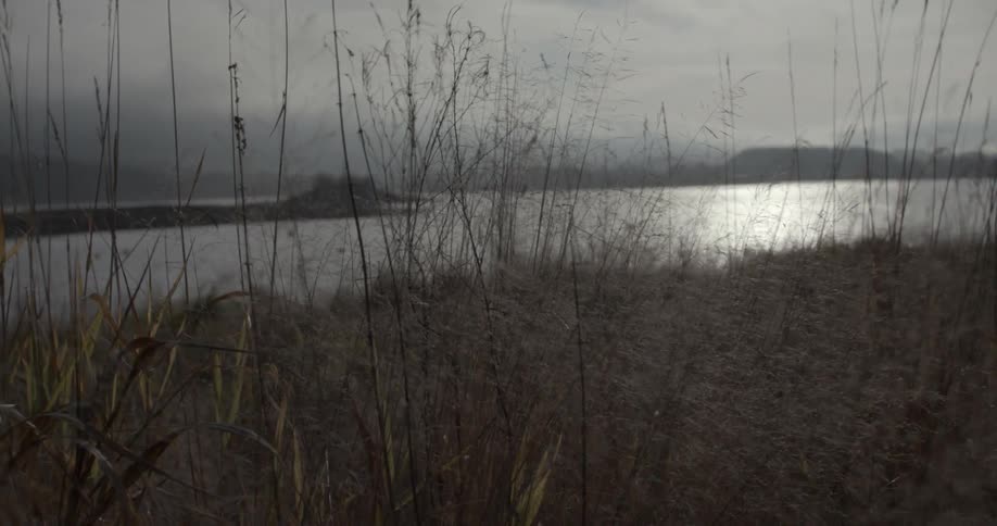 A grassy lake on a cloudy day