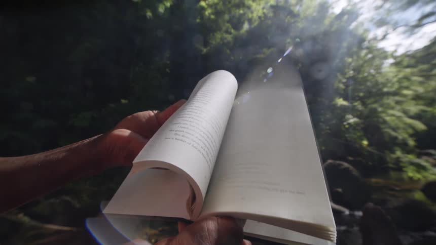 A person flips through a book in the forest