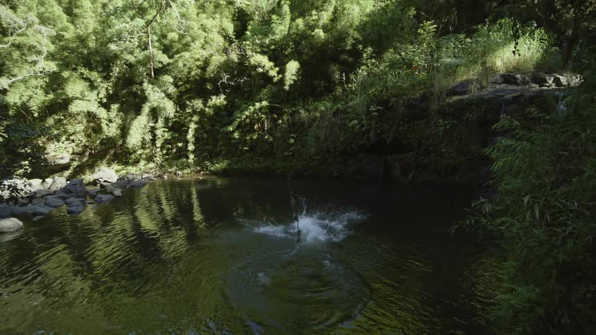 A man jumping from a rope swing into a lake in a jungle