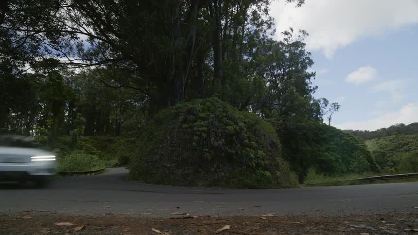 White car drives through bend near green forest