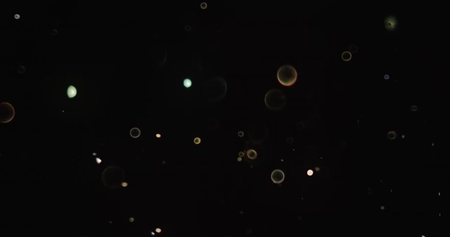 Glowing circles and spots float through black background