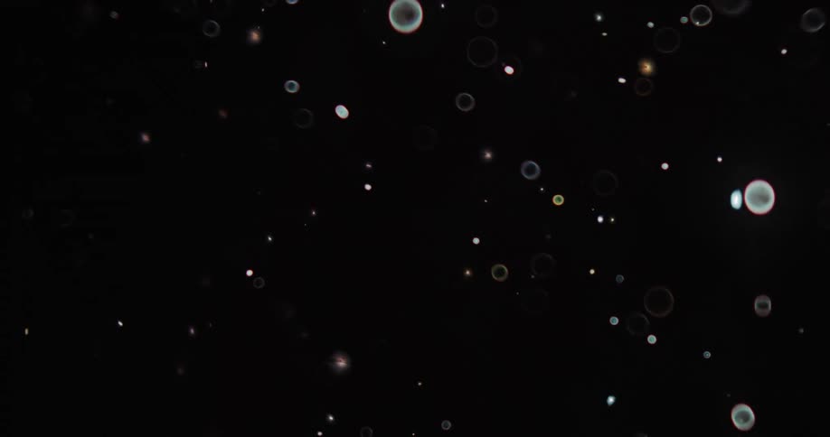 Glowing orbs of light twinkle as they move and shine as they float and fall in the darkness