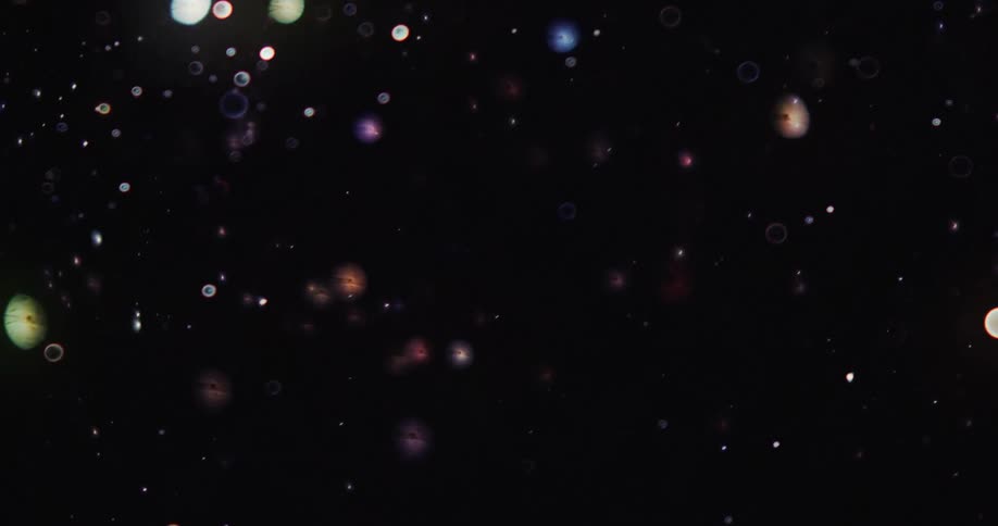 Many different colored orbs of light moving around on a black background