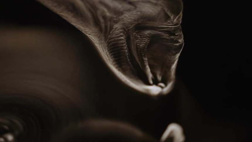 Wrinkled gray shape stretches downward toward smooth spinning mixture