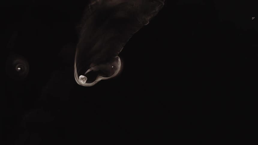 Abstract footage of liquid dye mixing in liquid